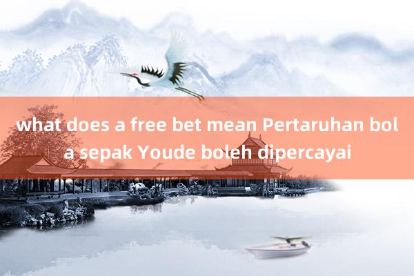 what does a free bet mean Pertaruhan bola sepak Youde boleh dipercayai